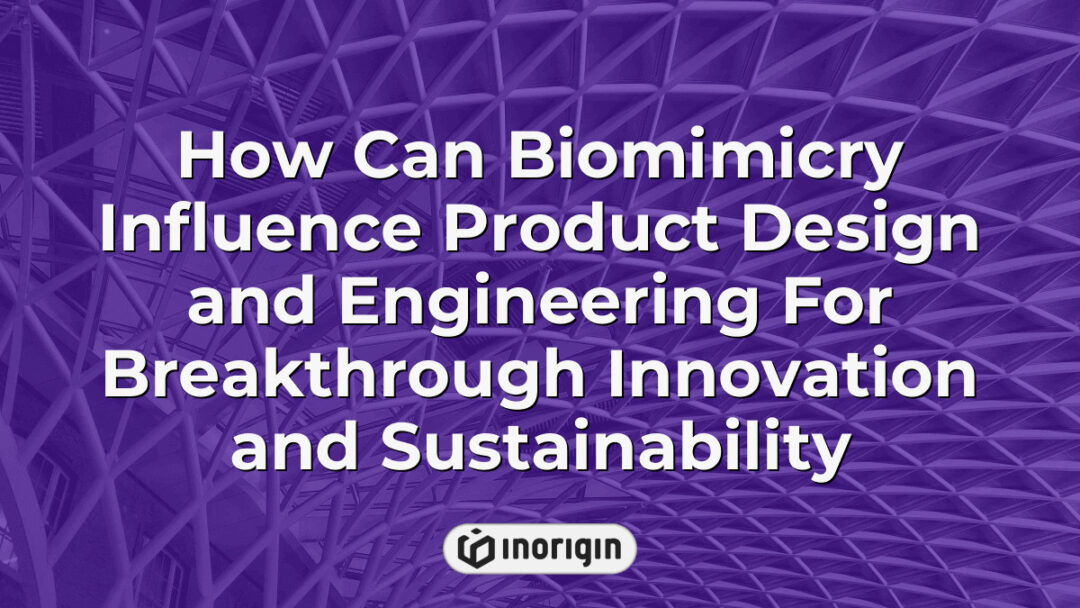 Illustration depicting the influence of biomimicry in innovative product design and engineering, highlighting sustainable solutions inspired by nature's principles.